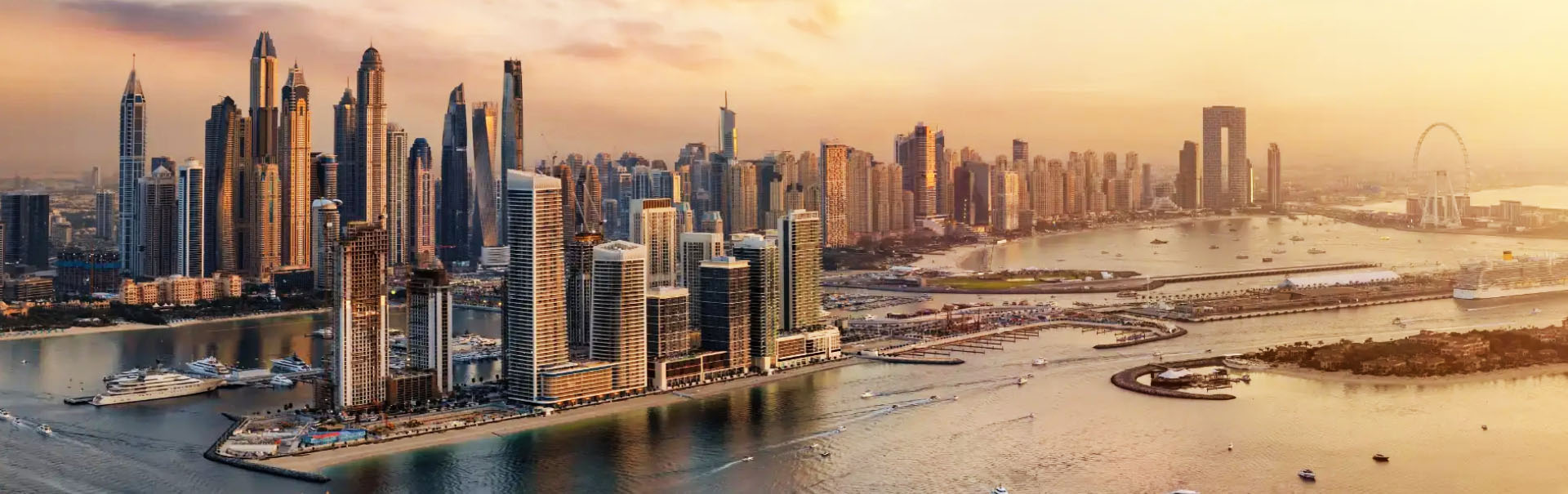 Dilate Video Thumbnail